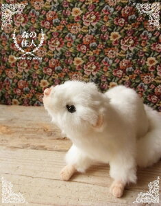 _9܂ł̒ő^yHANSA tFbg24 ʂ݁zӂ ʂ A {  ybg