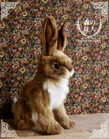 ＼平日9時までの注文で即日発送／【HANSA ジャックラビット31 ぬいぐるみ】兎 うさぎ ウサギ ぬいぐるみ リアル 本物 そっくり ペット