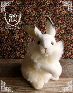 うさぎ ぬいぐるみ 特大の人気商品 通販 価格比較 価格 Com