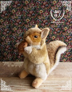 _9܂ł̒ő^yHANSA AJX25 ʂ݁zIl 肷 X ʂ A {  ybg