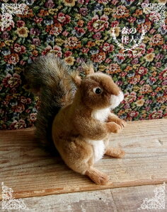 _9܂ł̒ő^yHANSA AJX20 ʂ݁zIl 肷 X ʂ A {  ybg