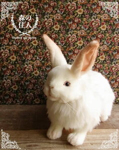 うさぎ ぬいぐるみ 特大の人気商品 通販 価格比較 価格 Com