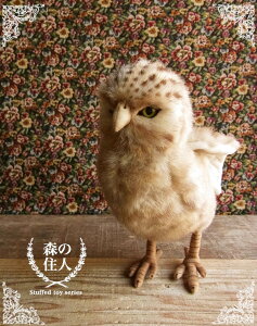 _9܂ł̒ő^yHANSA AitNE24 ʂ݁z ӂ낤 tNE ʂ A {  ybg