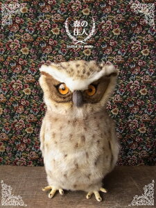 _9܂ł̒ő^yHANSA V}tNE26 ʂ݁z CR IE ʂ A {  ybg