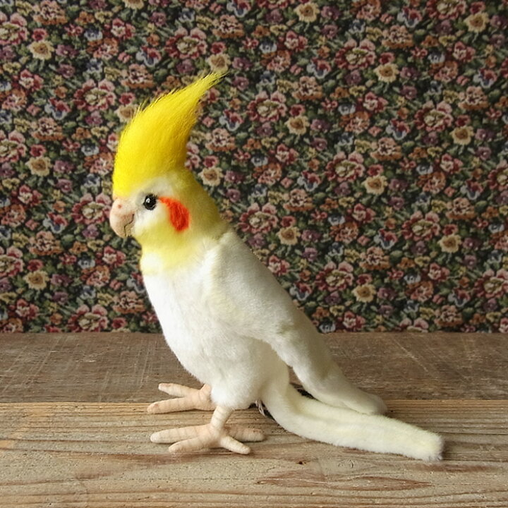 楽天市場】＼平日9時までの注文で即日発送／【HANSA オカメインコ 