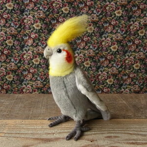 _9܂ł̒ő^yHANSA IJCR O[23 ʂ݁z CR IE ʂ A {  ybg