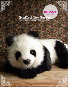 _9܂ł̒ő^yHANSA Rp_65 ʂ݁zς ʂ A {  ybg