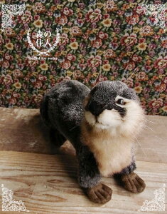 _9܂ł̒ő^yHANSA JE\47 ʂ݁z 키 ʂ A {  ybg