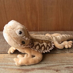 \平日9時までの注文で即日発送/【TST フトアゴヒゲトカゲ ぬいぐるみ】とかげ 爬虫類 ぬいぐるみ リアル 本物 そっくり ペット