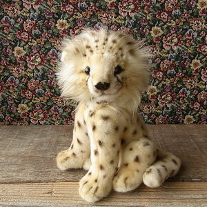 _9܂ł̒ő^yHANSA `[^[iej21 ʂ݁z[[ ʂ A {  ybg