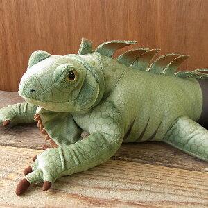 _9܂ł̒ő^yTST COAi ʂ݁zƂ ঒ ʂ A {  ybg