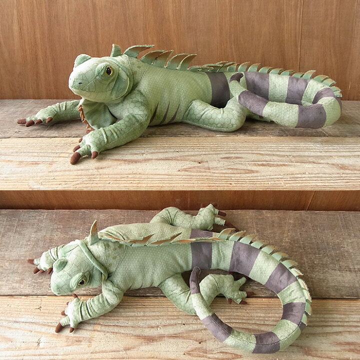 楽天市場 簡易ラッピングでお届け Tst イグアナ ぬいぐるみ とかげ 爬虫類 ぬいぐるみ リアル 本物 そっくり ペット ニニアンドキノ
