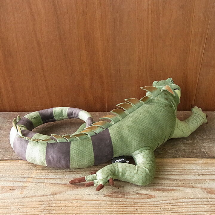楽天市場 簡易ラッピングでお届け Tst イグアナ ぬいぐるみ とかげ 爬虫類 ぬいぐるみ リアル 本物 そっくり ペット ニニアンドキノ