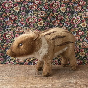 _9܂ł̒ő^yHANSA AJ`CmVV13 ʂ݁z ̂ ʂ A {  ybg