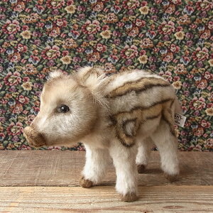 _9܂ł̒ő^yHANSA AJ`CmVV28 ʂ݁z ̂ CmVV ʂ A {  ybg