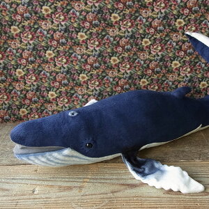 _9܂ł̒ő^yHANSA UgENW59 ʂ݁z~  NW ʂ A {  ybg