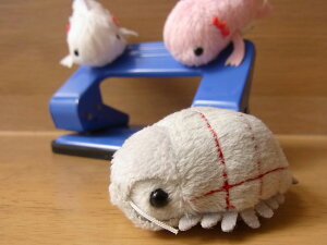 _9܂ł̒ő^yTST _CIEO\NV Az[g }Olbg ʂ݁z  ʂ A {  ybg