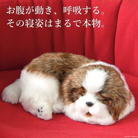 眠るように呼吸する パーフェクトペット (小サイズ) シーズー シー・ズー ぬいぐるみ リアル 本物そっくり 犬 癒し ペットロス 高級 ギフト プレゼント 贈り物 インテリア 観賞用 ニニアンドキノ