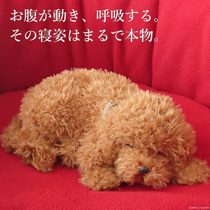 楽天市場】ニニアンドキノ パーフェクトペット (小サイズ) トイ 