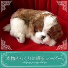 楽天市場 パーフェクトペット シーズー ぬいぐるみ 本物 そっくり リアル ペット メモリアル 犬 いぬ イヌ ニニアンドキノ