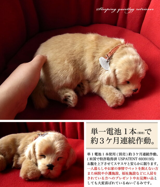 楽天市場 パーフェクトペット レトリバー ぬいぐるみ 犬 いぬ イヌ リアル 本物 そっくり ニニアンドキノ