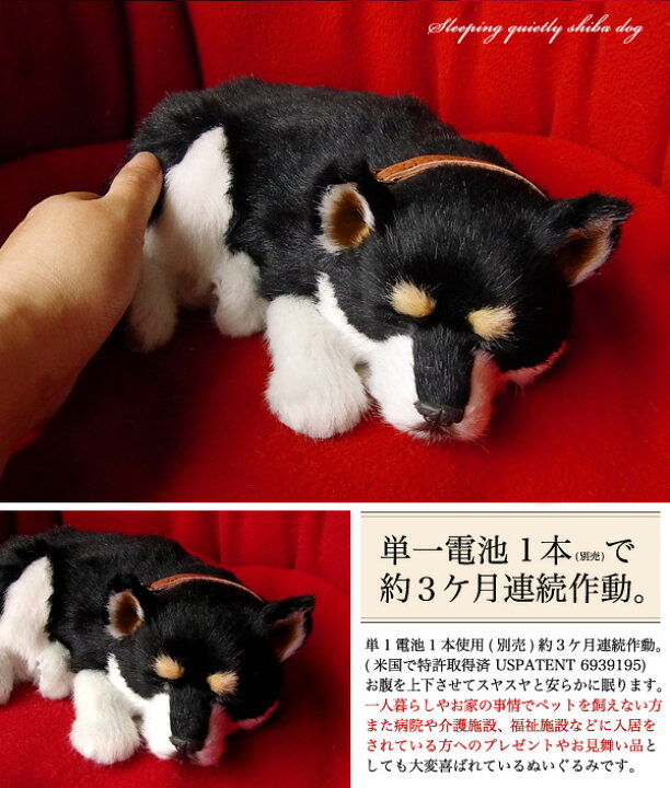 楽天市場】眠るように呼吸する パーフェクトペット (小サイズ) 柴犬 