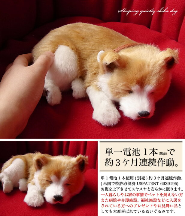 楽天市場 パーフェクトペット 柴犬 ぬいぐるみ 犬 いぬ イヌ しば シバ リアル 本物 そっくり ニニアンドキノ
