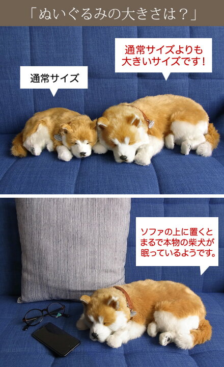 楽天市場】眠るように呼吸する パーフェクトペット (大サイズ) 柴犬 