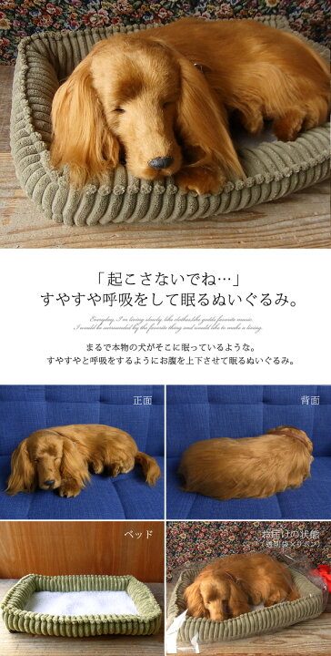楽天市場 パーフェクトペット 大サイズ ダックス ロング レッド 犬 ぬいぐるみ リアル 本物 そっくり いぬ イヌ ダックスフンド ダックスフント 動物 アニマル 癒し 動く 犬のぬいぐるみ かわいいぬいぐるみ 動くぬいぐるみ 大人 お見舞い ギフト お祝い 可愛い