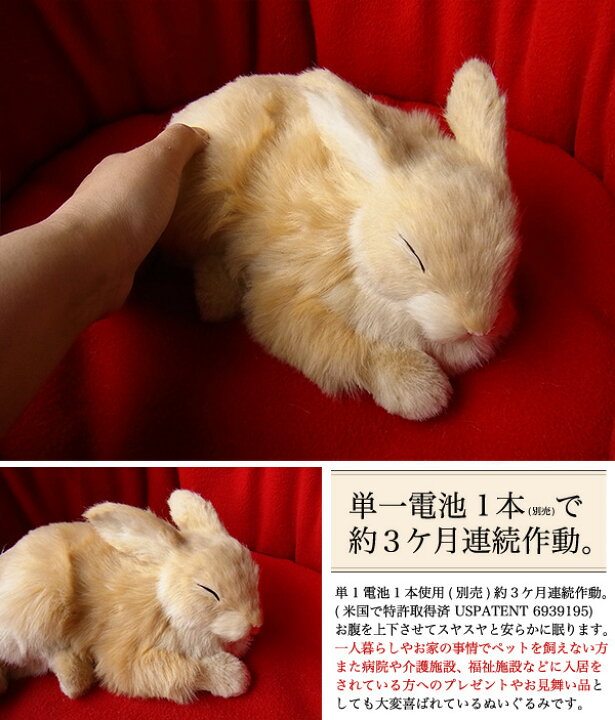 楽天市場 パーフェクトペット ウサギ ベージュ ぬいぐるみ 兎 ウサギ うさぎぬいぐるみ リアル 本物 そっくり ペット ニニアンドキノ