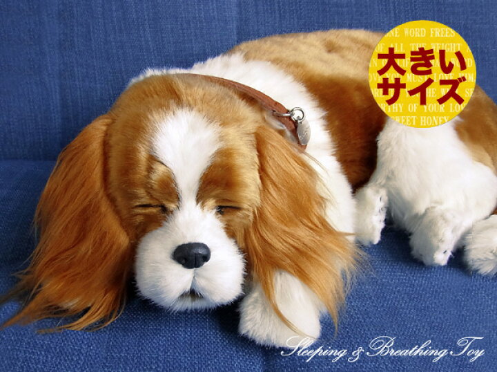 楽天市場 簡易ラッピングでお届け パーフェクトペット 大 キャバリア ぬいぐるみ 犬 いぬ イヌ リアル 本物 そっくり ニニアンドキノ