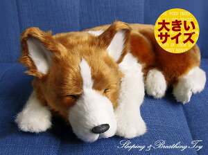 悤Ɍċz p[tFNgybg (TCY) R[M[ ʂ A {   ybgX  Mtg v[g 蕨 CeA Ϗܗp jjAhLm