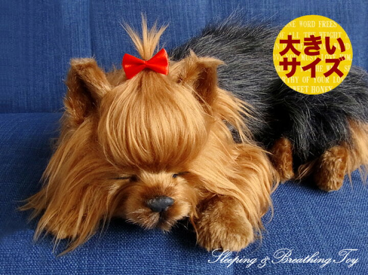 楽天市場 パーフェクトペット 大サイズ ヨークシャテリア ぬいぐるみ 犬 いぬ イヌ リアル 本物 そっくり ニニアンドキノ