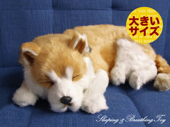 楽天市場 簡易ラッピングでお届け パーフェクトペット 大 柴犬 ぬいぐるみ 犬 いぬ イヌ しば シバ リアル 本物 そっくり ニニアンドキノ