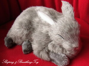 悤Ɍċz p[tFNgybg (TCY) ETM (O[) ʂ A { ETM  ybgX  Mtg v[g 蕨 CeA Ϗܗp jjAh