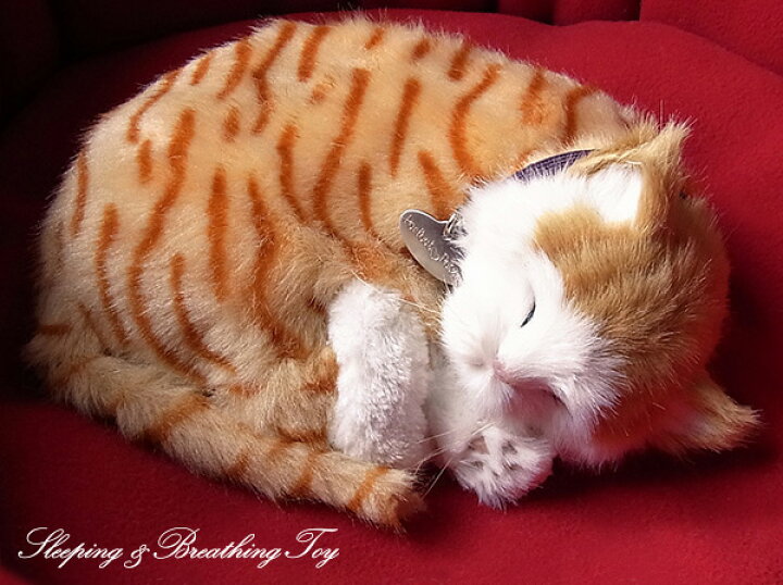 楽天市場 パーフェクトペット 茶トラ猫 ぬいぐるみ 猫 ネコ ねこ ぬいぐるみ リアル 本物 そっくり ペット ニニアンドキノ
