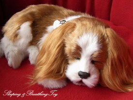 眠るように呼吸する パーフェクトペット (小サイズ) キャバリア ぬいぐるみ リアル 本物そっくり 犬 癒し ペットロス 高級 ギフト プレゼント 贈り物 インテリア 観賞用 ニニアンドキノ
