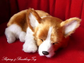 眠るように呼吸する パーフェクトペット (小サイズ) コーギー ぬいぐるみ リアル 本物そっくり 犬 癒し ペットロス 高級 ギフト プレゼント 贈り物 インテリア 観賞用 ニニアンドキノ
