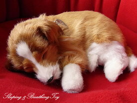 楽天市場 犬 ぬいぐるみ リアルの通販