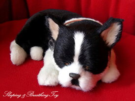 眠るように呼吸する パーフェクトペット (小サイズ) ボストンテリア ぬいぐるみ リアル 本物そっくり 犬 癒し ペットロス 高級 ギフト プレゼント 贈り物 インテリア 観賞用 ニニアンドキノ
