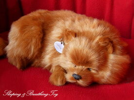 眠るように呼吸する パーフェクトペット (小サイズ) ポメラニアン ぬいぐるみ リアル 本物そっくり 犬 癒し ペットロス 高級 ギフト プレゼント 贈り物 インテリア 観賞用 ニニアンドキノ