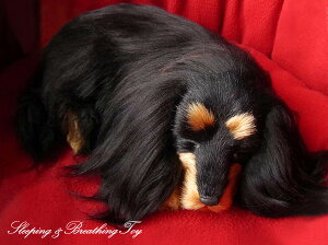 悤Ɍċz p[tFNgybg (TCY) _bNXth O (ubN^) _bNX ʂ A {   ybgX  Mtg v[g 蕨 C