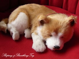 眠るように呼吸する パーフェクトペット (小サイズ) 柴犬 ぬいぐるみ リアル 本物そっくり 犬 癒し ペットロス 高級 ギフト プレゼント 贈り物 インテリア 観賞用 ニニアンドキノ