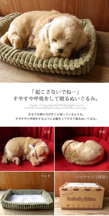楽天市場 パーフェクトペット レトリバー ぬいぐるみ 犬 いぬ イヌ リアル 本物 そっくり ニニアンドキノ