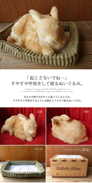 楽天市場 パーフェクトペット ウサギ ベージュ ぬいぐるみ 兎 ウサギ うさぎぬいぐるみ リアル 本物 そっくり ペット ニニアンドキノ