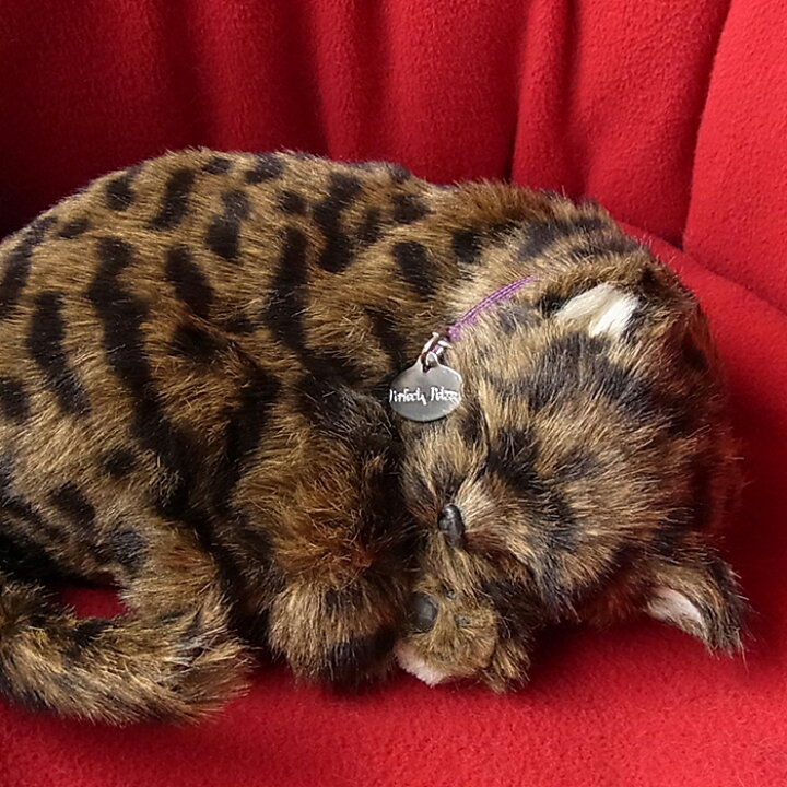 楽天市場 パーフェクトペット キジトラ猫 ぬいぐるみ 猫 ねこ ネコ リアル 本物 そっくり 猫のぬいぐるみ ねこのぬいぐるみ 動物 アニマル 誕生日プレゼント 猫好き プレゼント クリスマス アニマル猫 ペットロス 可愛い かわいい ギフト お見舞い きじとら ニニアンドキノ