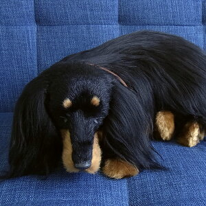 リアルぬいぐるみ 犬の通販 価格比較 価格 Com