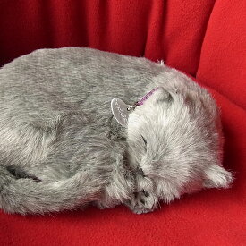 眠るように呼吸する パーフェクトペット (小サイズ) ロシアンブルー ぬいぐるみ リアル 本物そっくり 猫 癒し ペットロス 高級 ギフト プレゼント 贈り物 インテリア 観賞用 ニニアンドキノ