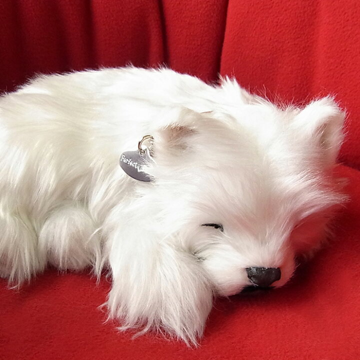 楽天市場 パーフェクトペット ウェストハイランドホワイトテリア ウェスティ ぬいぐるみ 犬 いぬ イヌ リアル 本物 そっくり ニニアンドキノ