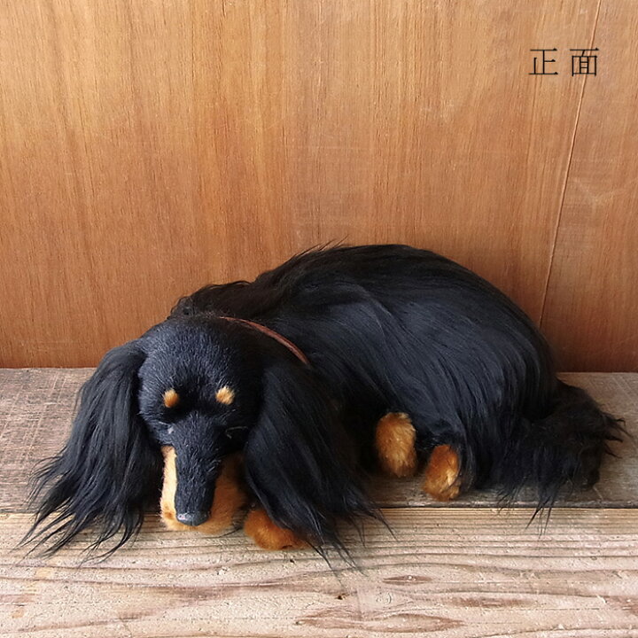 楽天市場 パーフェクトペット 大サイズ ダックス ロング ブラックタン ぬいぐるみ 犬 いぬ イヌ リアル 本物 そっくり ニニアンドキノ